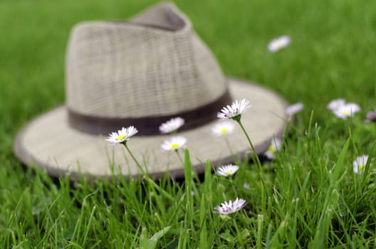 A straw hat surrounded with flowers.
