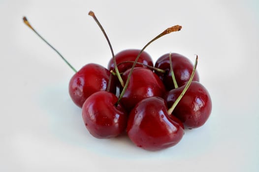 red cherries over a white background