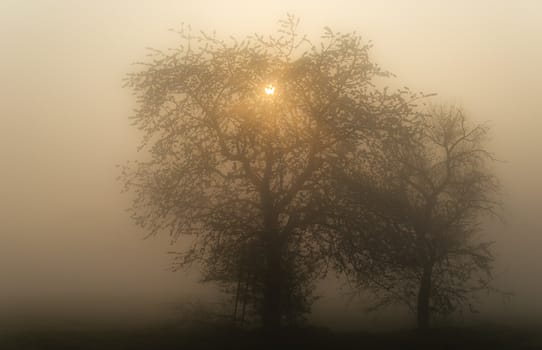 a misty landscape