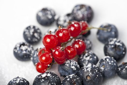 blueberries and red currant with icing sugar on white background