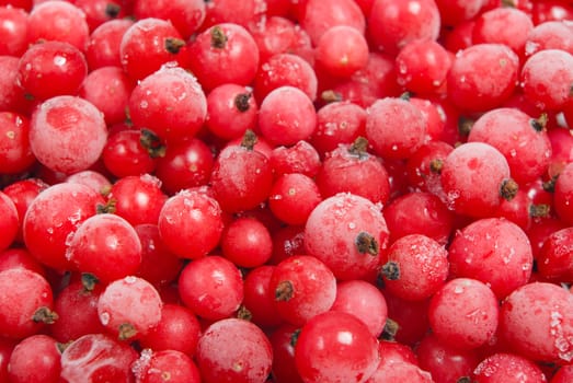 frozen red currant.useful berry, much vitamins. Close-up