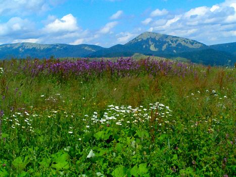 Mountain view with flowers, effect of painting  