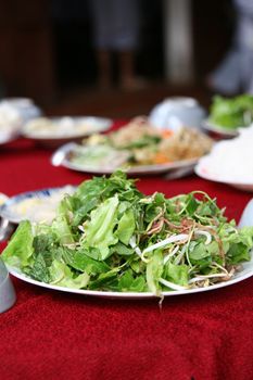 Freshly made salad served on a plate with green leaves and beansprouts