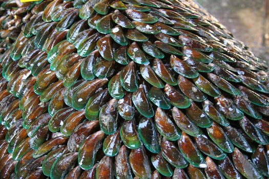 A pile of mussels at a market in Bangkok, Thailand