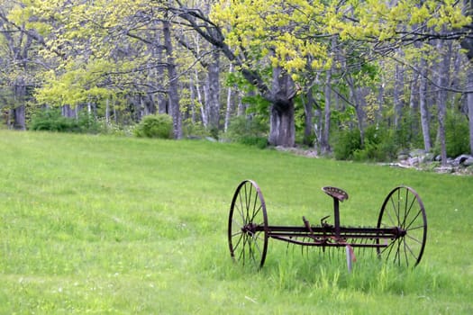 under trees leafing out in Spring, an old rusted hay rake sits in a field