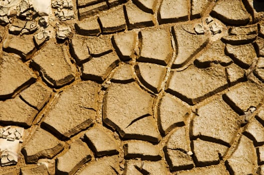 Dried soil cracking under the scorching sun