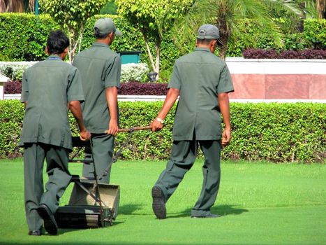Three men use a push / pull mower to cut the grass in New Delhi, India.