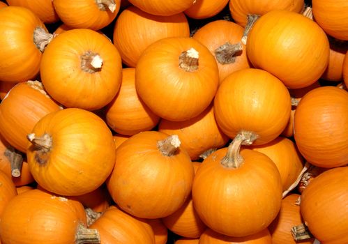 Closeup of a pile of pumpkins.