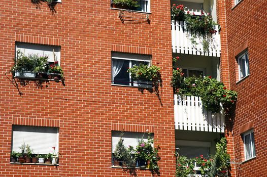 Apartment block with geraniums