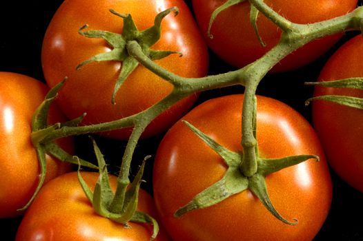 Six ripe vine tomatoes.