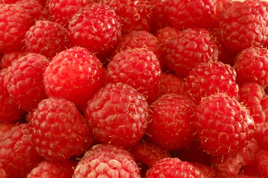Close up of a panier of ripe raspberries, ready to eat.