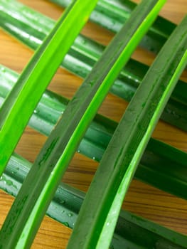 close up of pandan leaves on kitchen table
