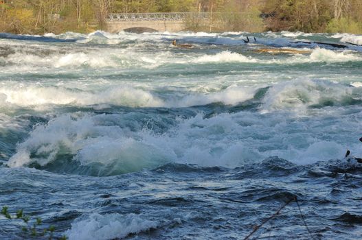 River rapids of the upper Niagara River before the falls.