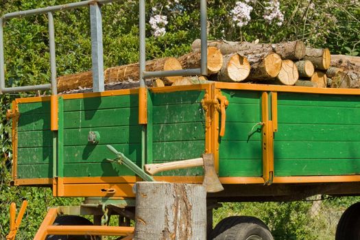 A trailer load with wood, before it an axe in log