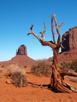 Monument Valley Navajo Tribal Park in Utah 