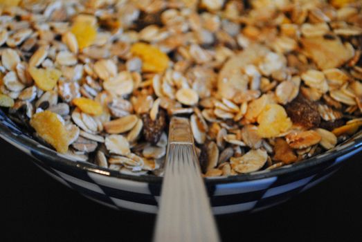 A bowl of breakfast cereal.
