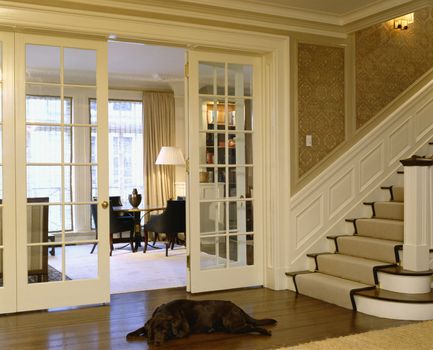 Dog Sleeping At Foot of Stairs