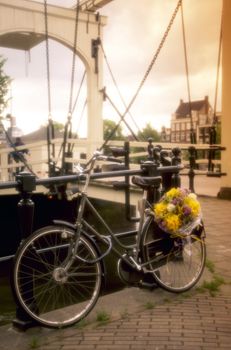 Bike with Flowers, Amsterdam, Holland