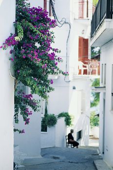 Street in Skiathos, Greece