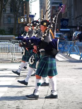 The Saint Patrick Day Parade in New York City