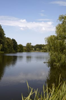 Small lake in center park. July, 2009. Lithuania