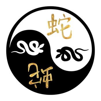 Yin Yang symbol with Chinese text and image of a Snake