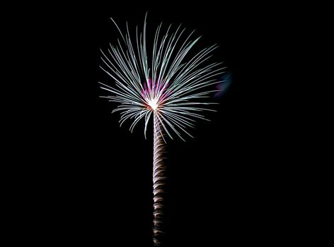 Sparks of purple and blue in a Fourth of July celebratory fireworks display.