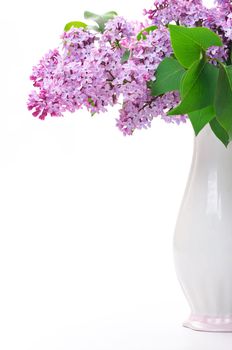 Lilac flower in vase