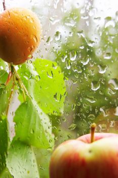 Apricot and apple on wet screen background