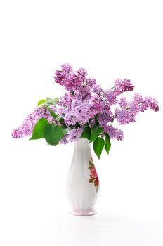 Lilac flower in vase