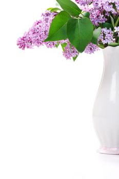 Lilac flower in vase