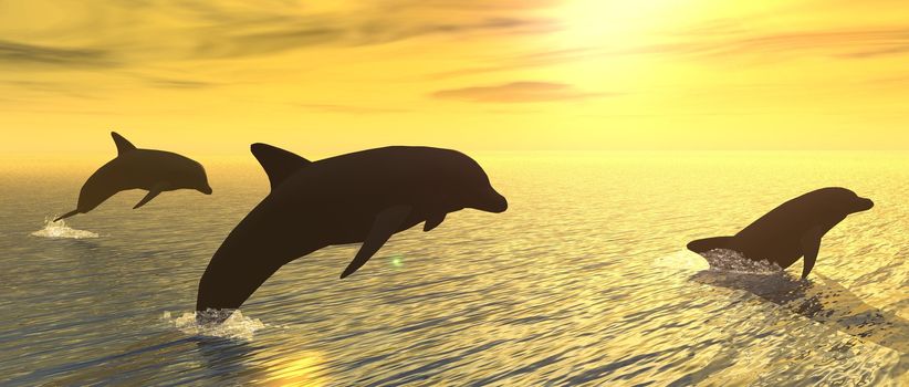 illustration showing some dolphins playing at sunset