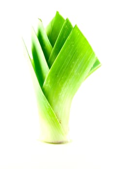 Single green leek head on a white background