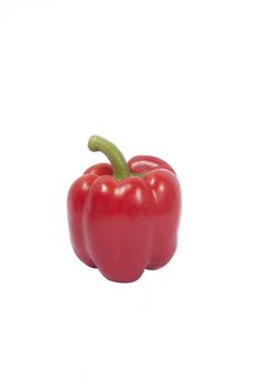 Red capsicum