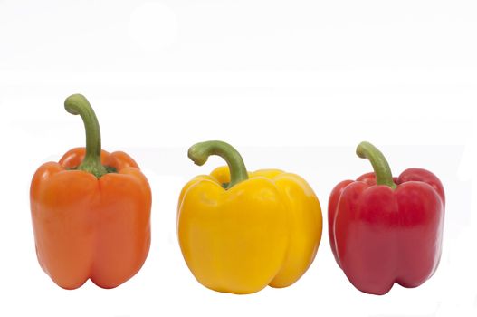 Orange, Yellow and Red Capsicums (lined view)