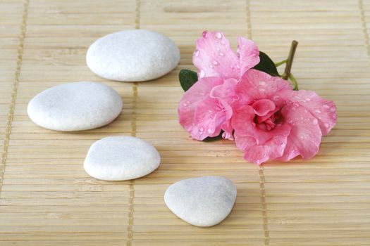 Pink azalea blossom with white stones on a bamboo mat