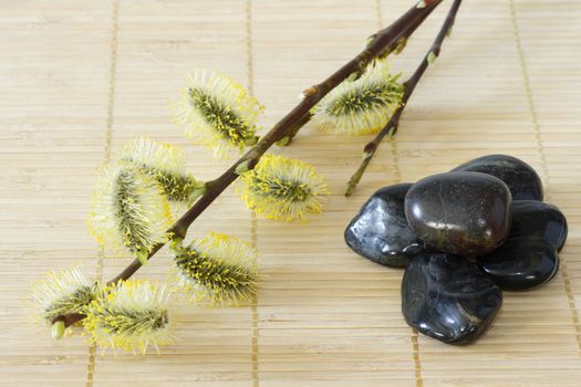 Yellow blooming branches with black stones on a bamboo mat