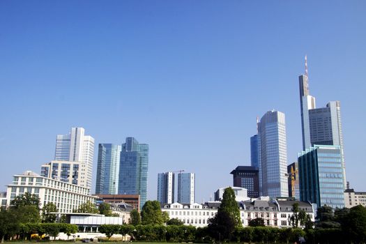 Frankfurt skyline from the other side of the river