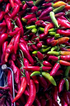 Large selection of red and green chili