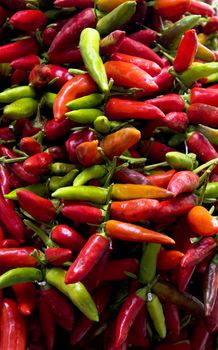 Large selection of red and green chili