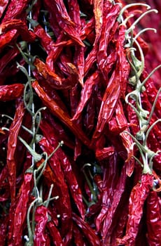 Large selection of red and driedchili