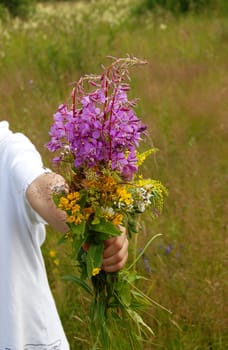 various summer field flowers bouquet in boys hands