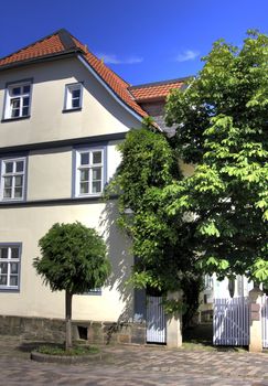 baroque house and chestnut tree under blue sky, bad arolsen, germany