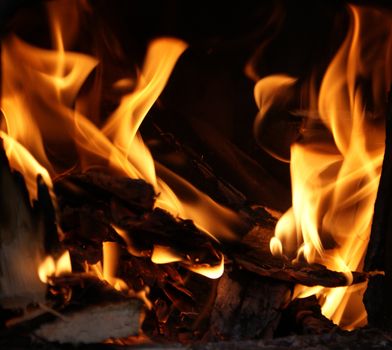 wood logs burning on fire