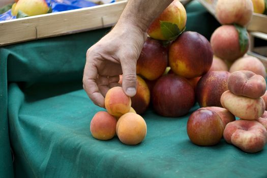 Composition of apricot and peaches