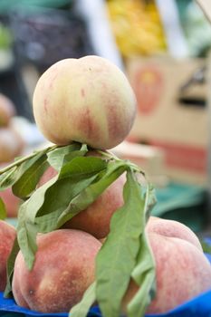 Basket of peaches