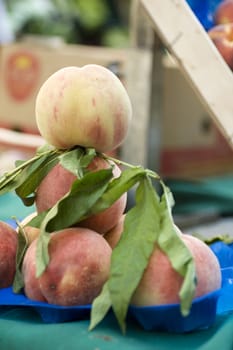 Basket of peaches