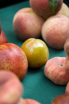 Plum among peaches