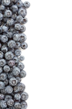 Fresh Blueberries Border Isolated on a White Background.