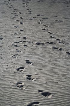 Walking footprint on the beach